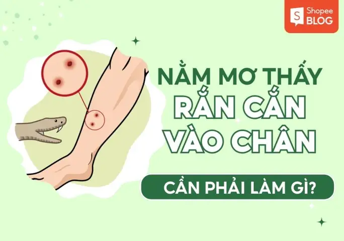 Nằm Mơ Thấy Rắn Cắn Vào Chân Trái: Giải Mã Ý Nghĩa Và Những Điềm Báo Bạn Cần Biết