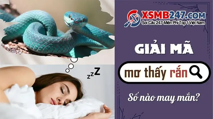 Giải Mã Ý Nghĩa Giấc Mơ Thấy Rắn: Điềm Báo Tốt Hay Xấu Và Các Con Số May Mắn