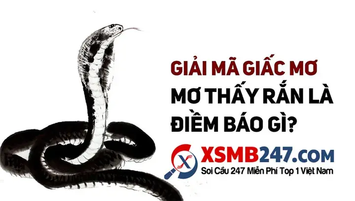 Giải Mã Ý Nghĩa Giấc Mơ Thấy Rắn: Điềm Báo Tốt Hay Xấu Và Các Con Số May Mắn