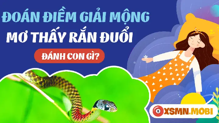 Nằm Mơ Thấy Rắn Đuổi Đánh Con Gì? Giải Mã Bí Ẩn Từ Giấc Mơ Thấy Rắn