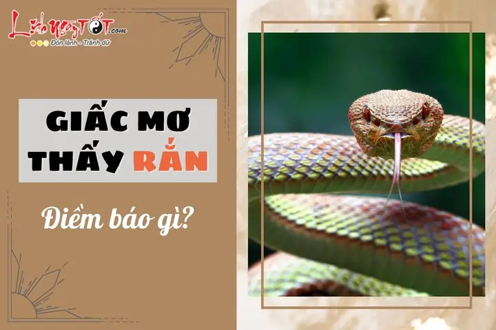 Giải Mã Ý Nghĩa Giấc Mơ Thấy Rắn: Điềm Lành Hay Dữ? Con Số May Mắn Ẩn Chứa