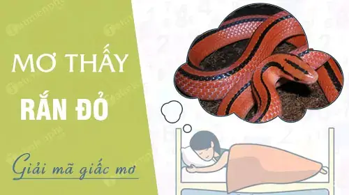 Nằm Mơ Thấy Rắn Màu Đỏ: Giải Mã Chi Tiết Điềm Báo & Con Số May Mắn