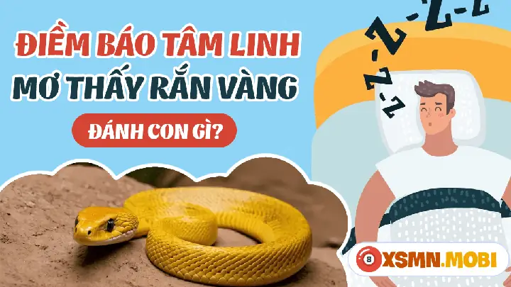 Nằm Mơ Thấy Rắn Vàng Khổng Lồ: Giải Mã Chi Tiết Ý Nghĩa Tâm Linh & Tâm Lý