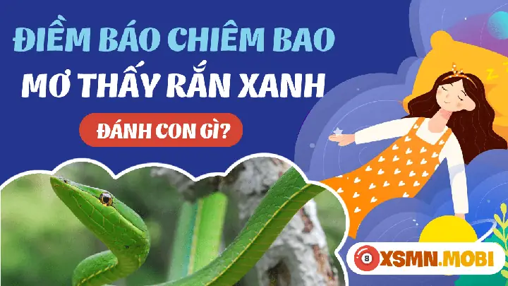 Nằm Mơ Thấy Rắn Xanh La Cây La Điềm Gì? Giải Mã Chi Tiết Từ A Đến Z