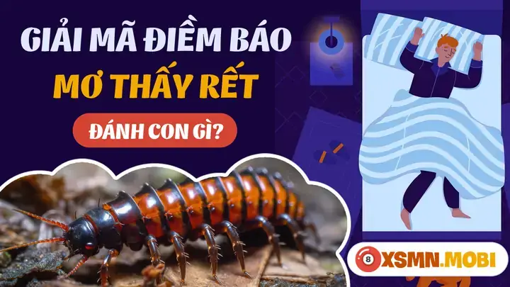 Giải Mã Ý Nghĩa & Con Số May Mắn Khi Nằm Mơ Thấy Rết