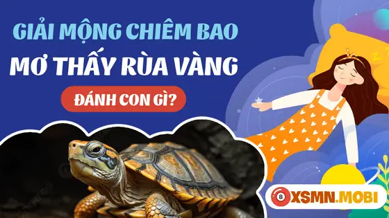 Giải Mã Giấc Mơ Thấy Rùa Vàng: Ý Nghĩa Và Con Số May Mắn Đi Kèm
