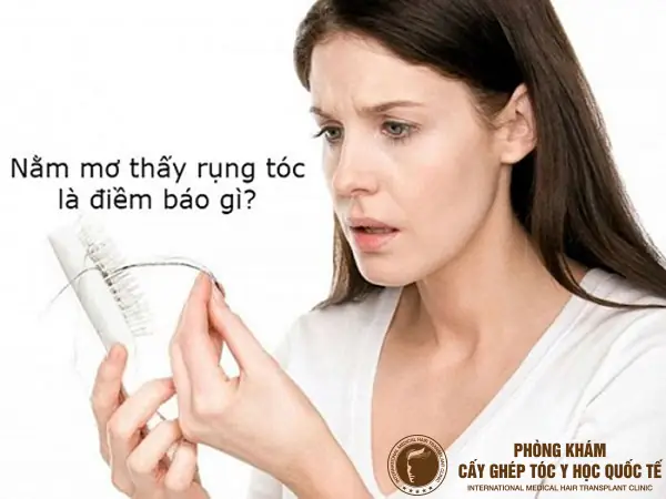 Nằm Mơ Thấy Rụng Tóc Hói Đầu: Giải Mã Chi Tiết Và Những Điềm Báo Trong Đời Sống