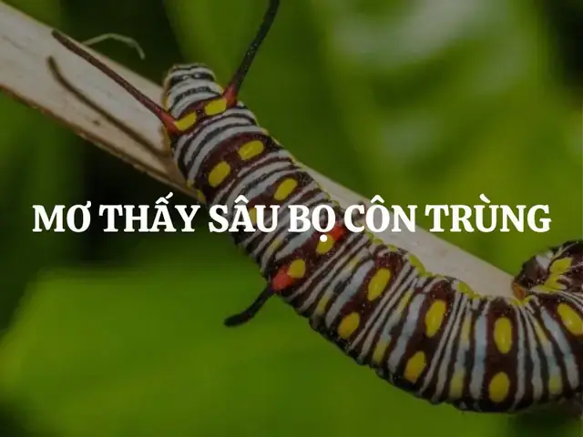 Giải Mã Chi Tiết Giấc Mơ Thấy Sâu Bọ Bò Lên Người: Điềm Báo Gì & Con Số May