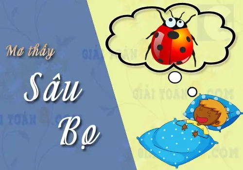 Nằm Mơ Thấy Sâu Đánh Con Gì? Giải Mã Chi Tiết Điềm Báo & Con Số May Mắn