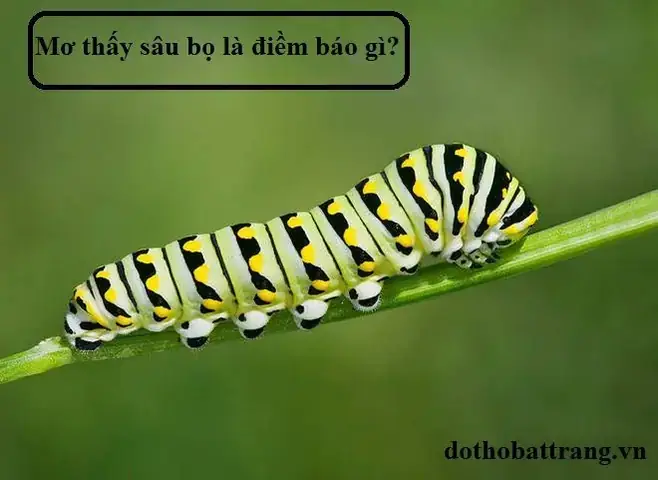 Giải Mã Chi Tiết Nằm Mơ Thấy Sâu: Hên Hay Xui Và Những Điềm Báo Ẩn Giấu