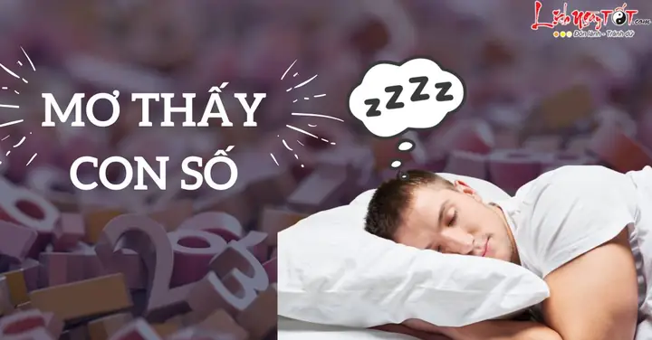 Nằm Mơ Thấy Số 11 Đánh Đề Con Gì? Giải Mã Ý Nghĩa Và Các Cặp Số May Mắn