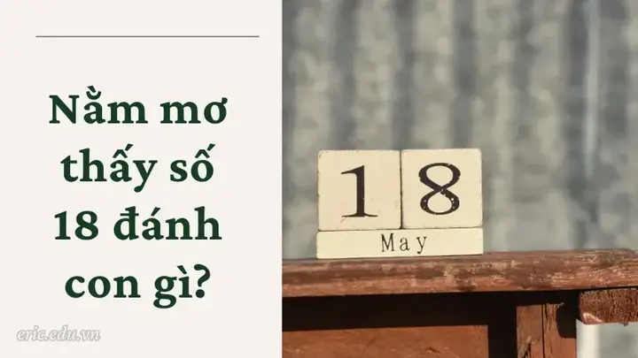 Nằm Mơ Thấy Số 18 Đánh Con Gì? Giải Mã Ý Nghĩa Và Con Số May Mắn