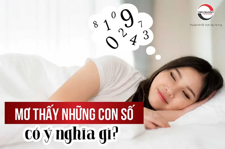 Giải Mã Giấc Mơ Thấy Số 23: Ý Nghĩa Tâm Linh Và Con Số May Mắn Cho Lô Đề