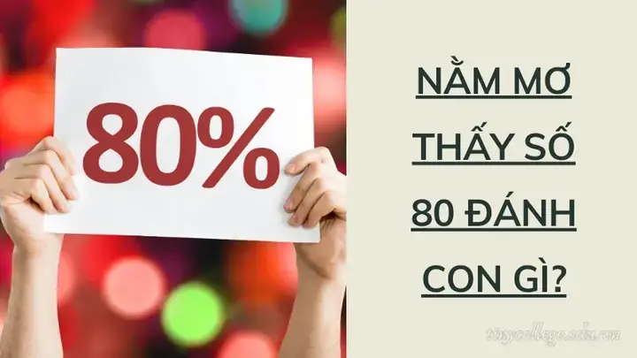 Giải Mã Ý Nghĩa Giấc Mơ Thấy Số 80 Và Các Con Số May Mắn Liên Quan