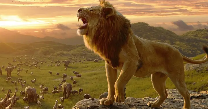 Review Top 10+ Mơ Thấy Sư Tử Đánh Số Gì? Phân Tích Chi Tiết Ý Nghĩa & Con Số May Mắn