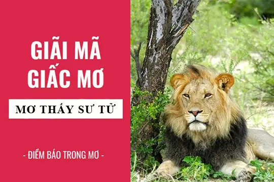Giải Mã Chi Tiết Giấc Mơ Thấy Sư Tử Vào Nhà: Điềm Báo Gì & Con Số May Mắn
