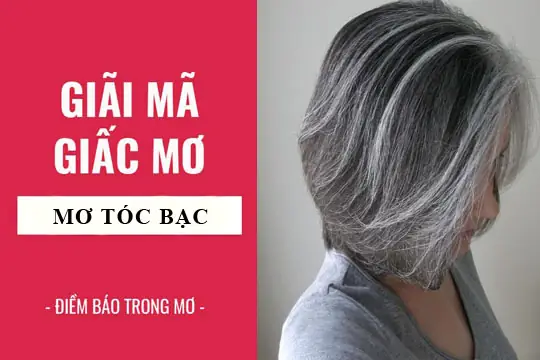Nằm Mơ Thấy Tóc Bạc Là Điềm Báo Gì? Giải Mã Chi Tiết Theo Tâm Linh Và Khoa Học