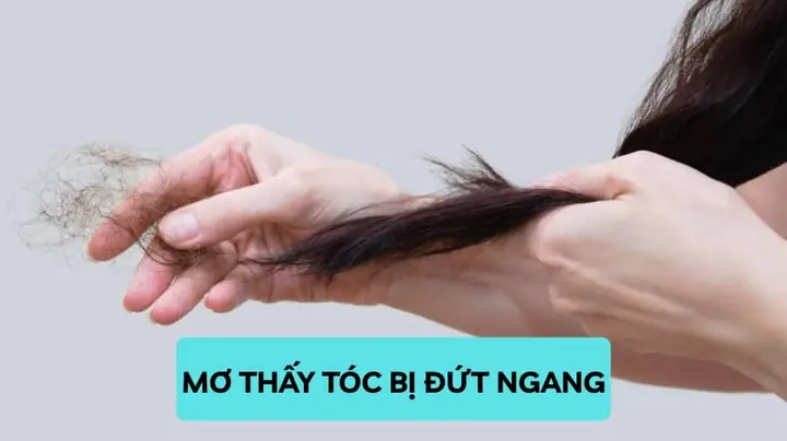 Giải Mã Chi Tiết Ý Nghĩa Giấc Mơ: Nằm Mơ Thấy Tóc Bị Đứt Ngang