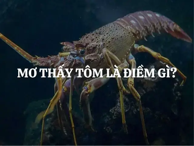 Giải Mã Giấc Mơ Thấy Tôm: Điềm Lành Hay Dữ Và Con Số May Mắn Liên Quan