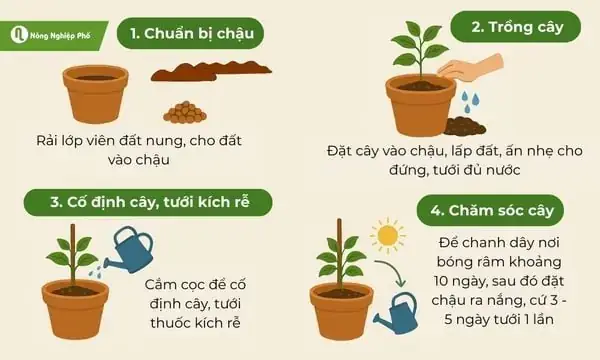 Giải Mã Giấc Mơ Thấy Trái Cây: Những Điềm Báo Và Con Số May Mắn Ẩn Sâu Bên Trong
