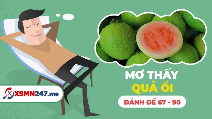Nằm Mơ Thấy Trái Ổi: Giải Mã Chi Tiết Ý Nghĩa & Con Số May Mắn