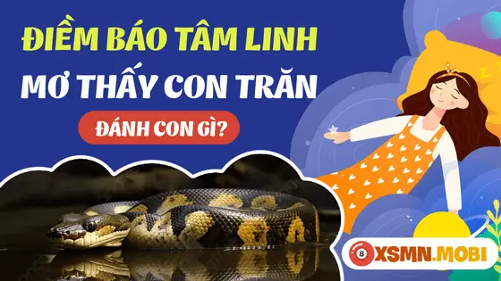 Nằm Mơ Thấy Trăn Đánh Con Gì? Giải Mã Chi Tiết Điềm Báo Tâm Linh & Con Số May Mắn