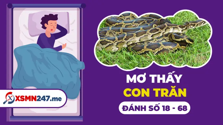 Giải Mã Giấc Mơ Thấy Trăn: Điềm Báo Gì Và Con Số May Mắn Đi Kèp