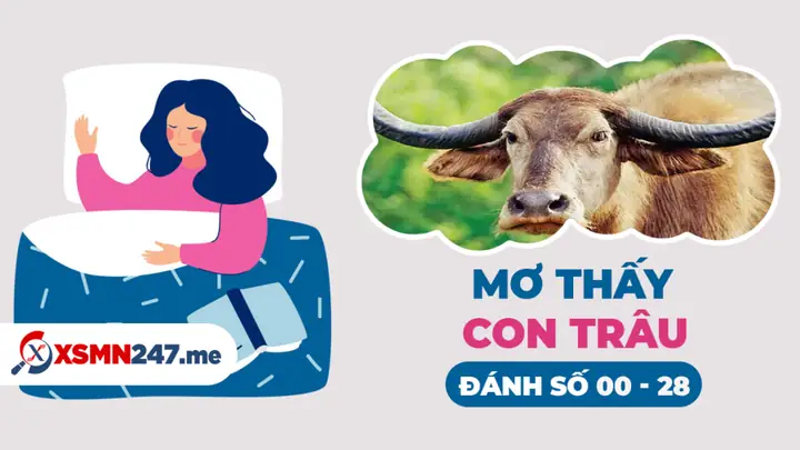 Giải Mã Giấc Mơ Thấy Trâu Chết: Những Điềm Báo Tâm Linh Và Con Số May Mắn