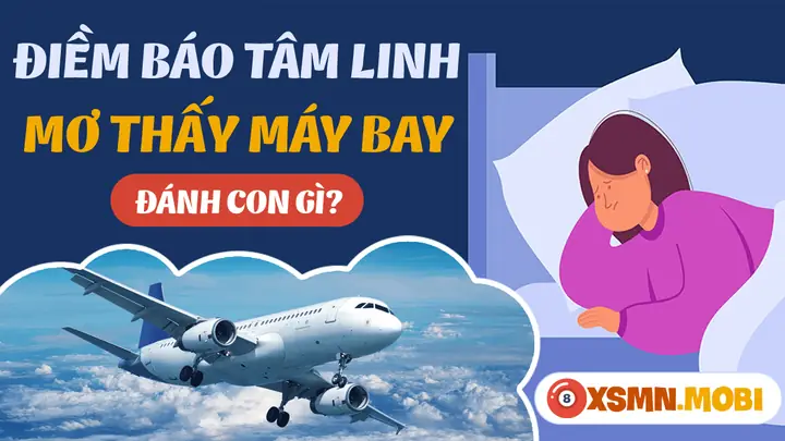 Nằm Mơ Thấy Trễ Máy Bay Đánh Con Gì? Giải Mã Chi Tiết & Con Số May Mắn
