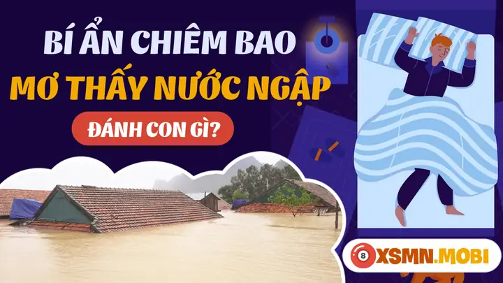 Giải Mã Giấc Mơ Thấy Trời Mưa Ngập Nước: Điềm Báo Gì Và Nên Làm Gì?