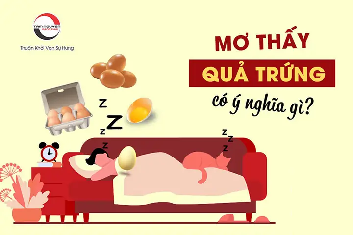 Nằm Mơ Thấy Trứng Đánh Số Gì