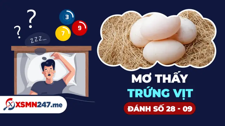 Giải Mã Ý Nghĩa Và Con Số May Mắn Khi Nằm Mơ Thấy Lượm Trứng Vịt