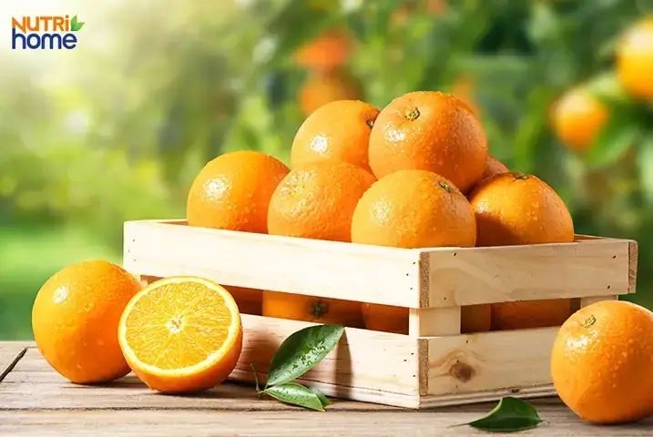 Giải Mã Chi Tiết Giấc Mơ Thấy Vàng Và Tiền: Điềm Báo Gì Và Con Số May Mắn Tương Ứng