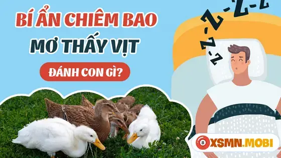 Nằm Mơ Thấy Vịt Con Màu Vàng Đánh Con Gì? Giải Mã Chi Tiết & Con Số May Mắn