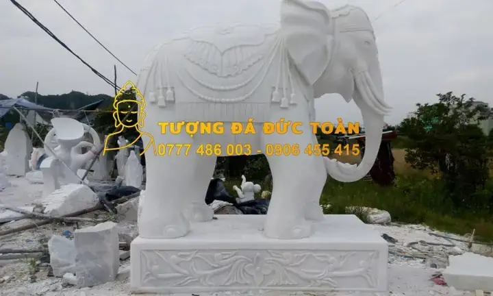 Giải Mã Giấc Mơ Thấy Voi: Ý Nghĩa Tâm Linh, Tâm Lý Và Con Số May Mắn