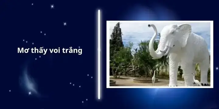 Giải Mã Giấc Mơ Thấy Voi: Điềm Lành Hay Điềm Dữ? Bảng Tra Cứu Chi Tiết