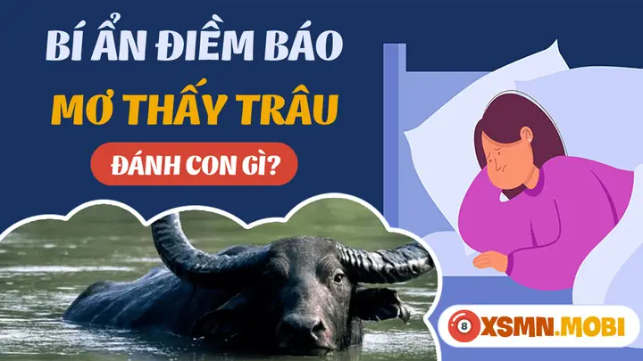 Nằm Mơ Trâu Đuổi Đánh Con Gì? Giải Mã Bí Ẩn Và Con Số May Mắn