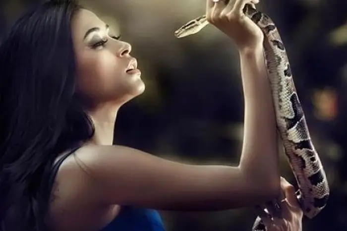 Nằm Ngủ Mơ Thấy Rắn Là Điềm Báo Gì? Giải Mã Chi Tiết Từng Trường Hợp