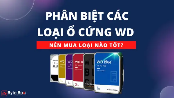 Nên Mua Ổ Cắm Nào? Top 5 Dòng Sản Phẩm An Toàn, Tiện Dụng Cho Mọi Gia Đình