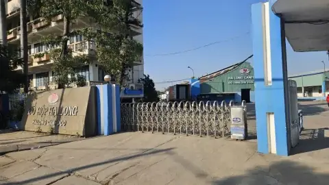 Cẩm Nang Cúng Mùng 1 Tháng 7 Âm Lịch: Chuẩn Bị Mâm Lễ Đúng Cách Để Đón Tài Lộc, Bình An