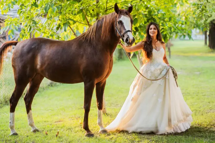 Tổng Hợp Thông Tin Chi Tiết Về Ngày 16/10/âm Lịch Năm 2026