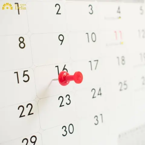 Cẩm Nang Ngày Tốt Đầu Năm 2024: Lựa Chọn Khôn Ngoan Cho Mọi Nhà