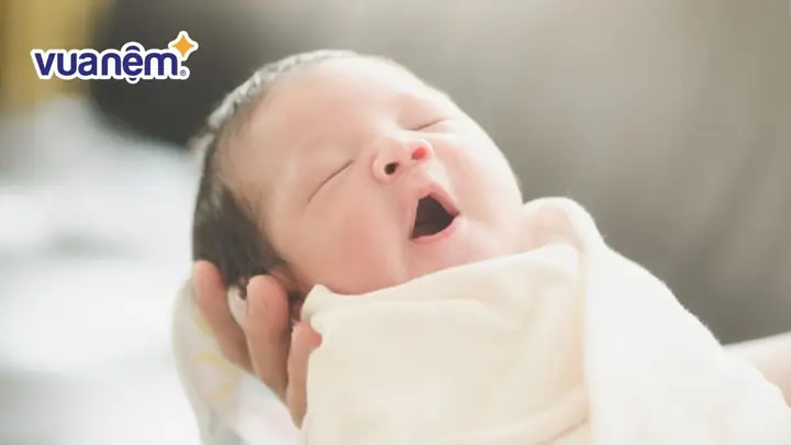 Xem Ngày Tốt Cúng Đất Tháng 3 Năm 2026: Những Điều Cần Biết Và Giờ Đẹp