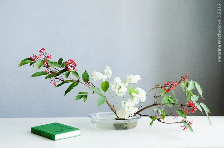 Nghệ Thuật Cắm Hoa Cúng Phật: Hướng Dẫn Chi Tiết Từ A-z Cho Người Mới Bắt Đầu