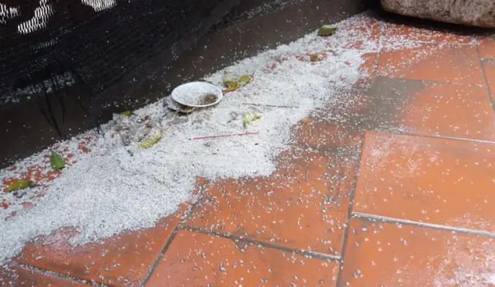 Hướng Dẫn Chi Tiết Nghi Thức Cúng Rãi Muối Gạo Đúng Cách