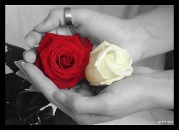 Hướng Dẫn Chi Tiết Nghi Thức Cúng Rằm Tháng Mười Chuẩn Nhất