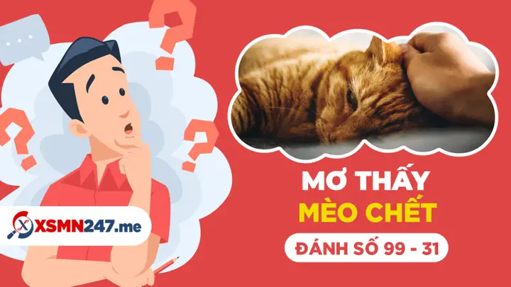 Ngủ Mơ Đập Chết Mèo Đánh Đề Con Gì