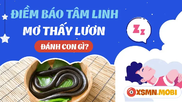 Ngủ Mơ Thấy 2 Con Lươn Đánh Đề Con Gì? Giải Mã Bí Ẩn Đằng Sau Giấc Mơ