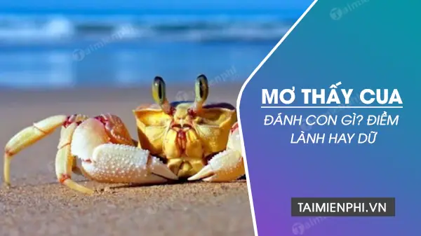 Giải Mã Giấc Mơ Thấy Mình Đi Bắt Cua: Điềm Báo Và Những Con Số May Mắn