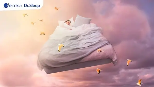 Người Ngủ Hay Mơ Là Người Như Thế Nào? Phân Tích Chi Tiết Từ Tâm Lý Đến Sinh Lý